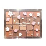 Eye Shadow Palette Manufacturer - 20 Color Earth Tone Pearly Matte Waterproof