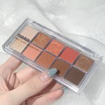 Eye Shadow Palette Manufacturer - 10 Color Earth Blue Matte Pearl Live Stream
