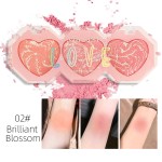 Blush Palette OEM - 3 Color Korean Baked Powder Rose Pink Shimmer Custom