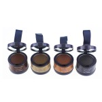 Hairline Powder Stick Supplier - Contour Shaping Cover Grey Hair Natural