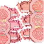 Blush Palette OEM - 3 Color Korean Baked Powder Rose Pink Shimmer Custom