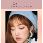 Blush Palette Manufacturer - Peach Orange Pink Shimmer Matte Contouring