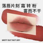 Lip Cream Bulk Supplier - Matte Velvet Non Transfer Live Stream Celebrity