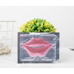 Lip Care Set Factory - 5 in 1 Peach Hydrating Kit