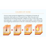 Dead Sea Mask Factory - Turmeric Green Tea Rose Clay