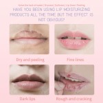 Lip Care Set Factory - 5 Piece Travel Organic Scrub