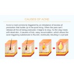 Face Mud Mask Manufacturer - Green Tea Pink Rose Aloe