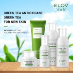 Matcha Skin Care Supplier - Nourishing Repairing Soothing