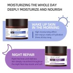 Skin Care Products Factory - Moisturizing Hydrating Cream