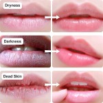 Lip Mask Manufacturer - Hydrogel Plump Moisturizing Fruit Pink