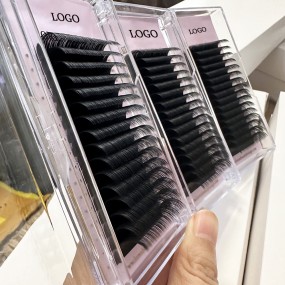 Eyelash Extensions Factory - Custom 0.03mm BCD Curl Black Brown Trays