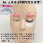貂毛睫毛OEM代工-手工全条练习睫毛10对