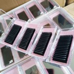 睫毛延长源头工厂-定制0.03mmBCD卷翘黑棕托盘
