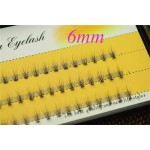 睫毛套装批发-DIY貂毛睫毛簇10D20D0.1mm扇形