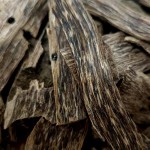 Agarwood Chips Manufacturer - Pure Natural Premium from China for Aromatic Fragrances Home Office