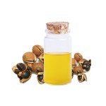 Camellia Seed Oil Manufacturer - High Purity All Natural Impurity Free Food Grade Oil for Household Use