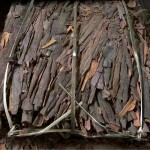 Compressed Cassia Manufacturer - Special Hot Selling Naturally Dried Food Industry Firm Pressed