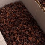 Star Anise Spices Manufacturer - High Quality Cheap Price Good Grade Product Chinese Origin