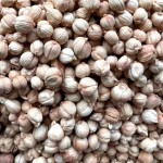 Nutmeg White Cardamom Granules Manufacturer - High Quality Dried Single Spices & Herbs Preserved for Flavor