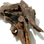 KING ANT AGARWOOD CHIP Manufacturer - Pure Oud from China Strong Sweet Scent for Home Use