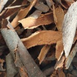 Cinnamon Spice Manufacturer - High Quality Bulk Raw Dried Aromatic Herb from China Single Spices