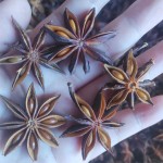 Autumn Star Anise Herb Manufacturer - 150g Dried Raw Spices Spicy Taste Single Spice Oil