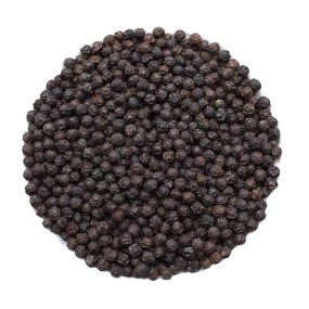 Black Pepper Manufacturer - International Herb Spice Product Premium Quality Single Spice Wholesale