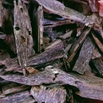 Ant Agarwood Chips Manufacturer - High Quality Arabian Al Bakhoor Wood Aromatic Warm for Home Wholesale