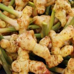 Organic Galangal Manufacturer - Best Selling Quality Dried Single Spice Herb AD Drying China Wholesale