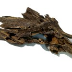 KING ANT AGARWOOD CHIP Manufacturer - Pure Oud from China Strong Sweet Scent for Home Use