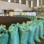 Black Pepper Manufacturer - International Herb Spice Product Premium Quality Single Spice Wholesale