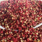 Dried Red Chinese Prickly Ash Manufacturer - Intensely Flavored for Stir Fry Seasoning Wholesale