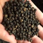 Black Pepper Extract Powder Manufacturer - Sell Well New Type Wholesale Spices Powder