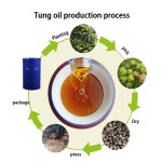Tung Oil Manufacturer - High Quality Pure Oil for Furniture Paint Liquid Coating Bulk Bottled Refined