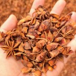 Broken Star Anise Manufacturer - High Quality China Spicy Dried Herb Spice Raw Processing Good Price