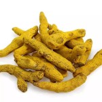 Turmeric Finger Spice Manufacturer - Direct Supplier High Quality Raw Dried Powder Herb Wholesale