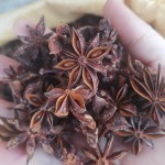 Star Anise Spices Manufacturer - High Quality Cheap Price Good Grade Product Chinese Origin