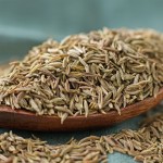 Dried Cumin Seeds Manufacturer - Special Hot Selling Natural Granule Seasoning Single Spice Herb Organic