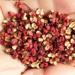 Dried Red Chinese Prickly Ash Manufacturer - Intensely Flavored for Stir Fry Seasoning Wholesale