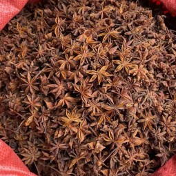 Star Anise Spices Manufacturer - High Quality Cheap Price Good Grade Product Chinese Origin
