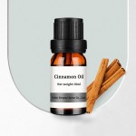 Food Grade Cinnamon Essential Oil Manufacturer - Natural Cinnamon Extract Oil for Food Fragrance Wholesale Private Label