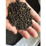 Black Pepper Extract Powder Manufacturer - Sell Well New Type Wholesale Spices Powder