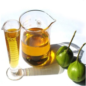 Tung Oil Manufacturer - Factory Supply Premium Grade Pure CAS No. 8001-20-5