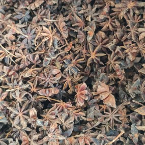Star Anise Herb Manufacturer - Wholesale Supply Natural Fresh Style Whole Piece Raw Processing