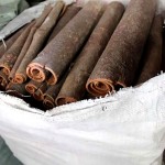 Guangxi Cassia Cinnamon Slices Manufacturer - High Quality Authentic Seasoning Dry Process Single Spice Anise Flavor