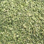 Fennel Seeds Manufacturer - Widely Used High Quality Organic Fresh Single Spice Wholesale