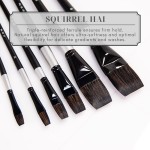 Oil Painting Brushes Manufacturer - Wholesale 6pset Professional Artist