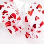 Gift Bags Factory - Christmas Red Fabric Custom Logo Printed