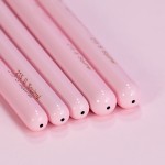 Oil Painting Brushes Supplier - Professional Grade 5pcs Hog Synthetic