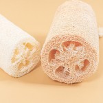 Dishwashing Sponge Manufacturer - Natural Luffa Eco Friendly Organic